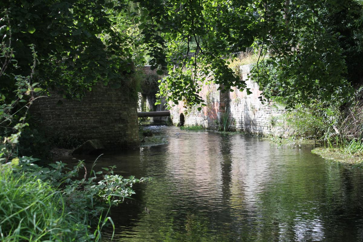 Cogglesford Lock